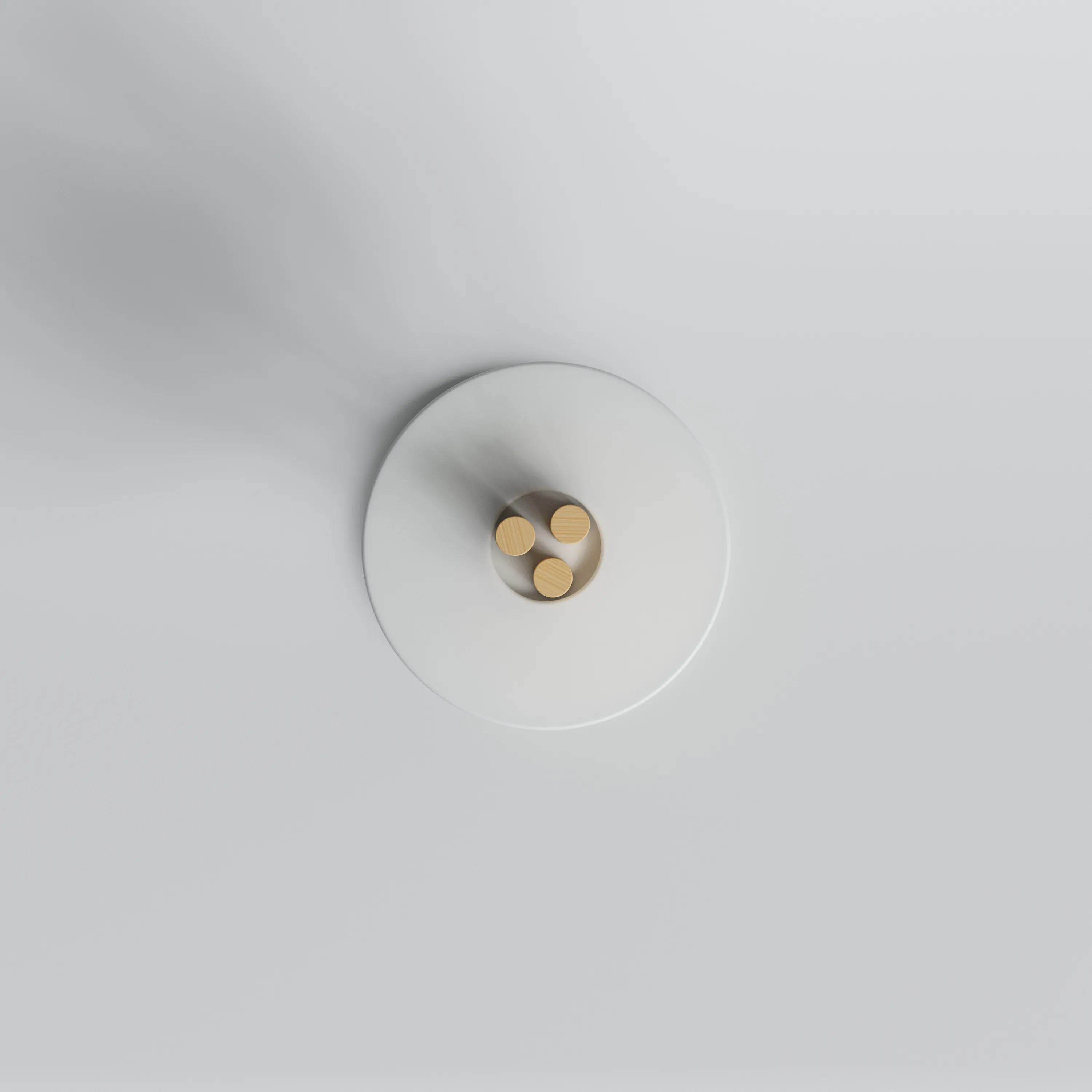 Studio · top view